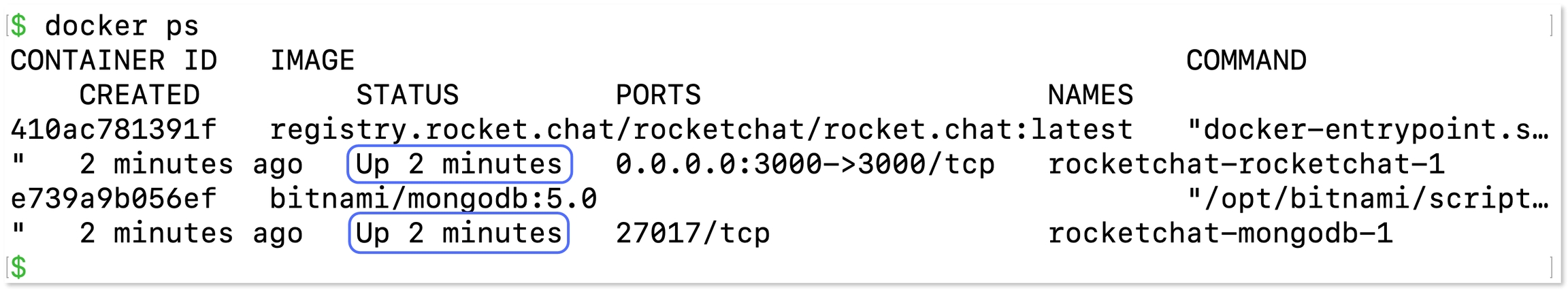 “docker ps”命令的输出显示两个容器都处于活动状态。